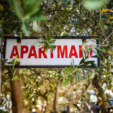 Apartmani Milka Zadar Exteriér fotografie